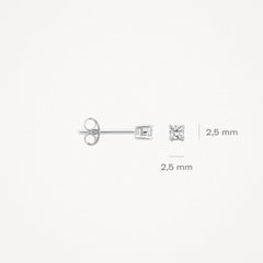 Boucles d'oreilles à tige Blush 7211WZI - or blanc (585)