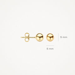 Blush Damen Ohrhänger aus Gelbgold (585) - 7122YGO