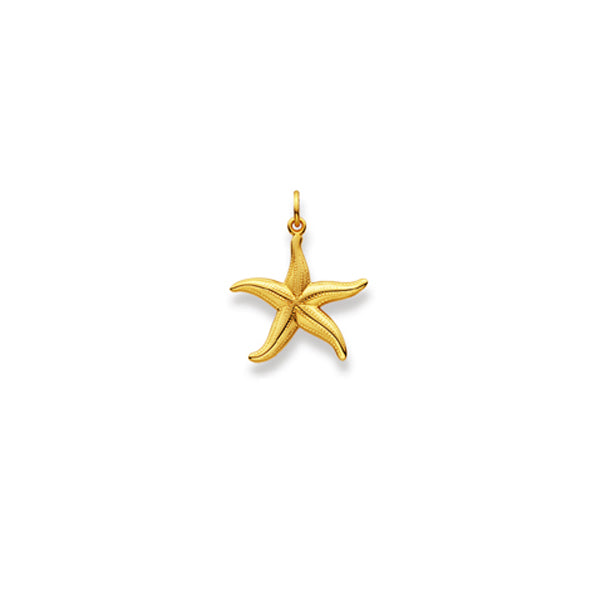 Anhänger Seestern aus 750 Gelbgold - 1156.08741/0001
