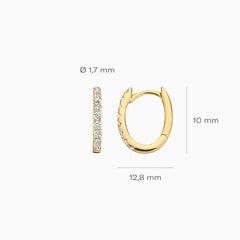 Blush Creolen aus 14 Karat Gold mit Labordiamanten 0.24 ct - LG7006Y