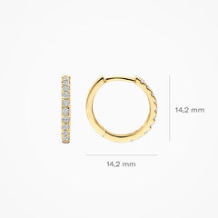 Blush Creolen aus 14 Karat Gold mit Labordiamanten 0.33 ct - LG7012Y