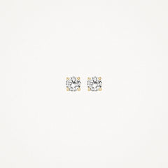 Blush Ohrhänger 7127YZI - Gelbgold (585) mit Zirkonia