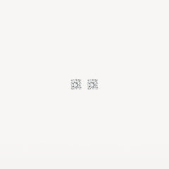 Blush Ohrhänger 7128WZI - Weissgold (585) mit Zirkonia