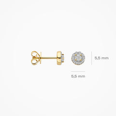 Blush Ohrstecker aus 14 Karat Gold mit Labordiamanten 0.29 ct - LG7011Y