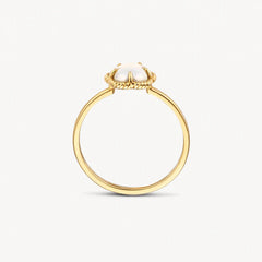 Blush Ring aus 14 Karat Gold mit Perlmutt Grösse 54 - 1280YMQ/54