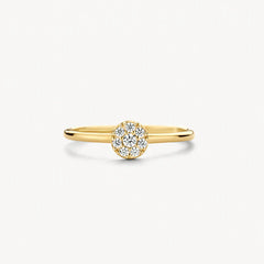 Blush Ring aus 14 Karat Gold mit rundem Pavé-Zirkonia Grösse 54 - 1277YZI/54