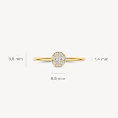 Blush Ring aus 14 Karat Gold mit rundem Pavé-Zirkonia Grösse 54 - 1277YZI/54