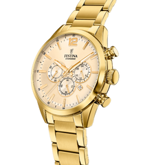 Festina Quarz Herrenuhr in Gold - F20633/4