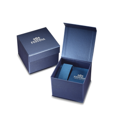 Festina Klassik Herrenuhr mit Edelstahl Armband - F20552/1