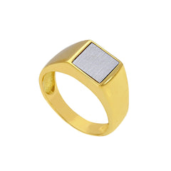 Herrenring 18 Karat Gold - 750 Goldring für Männer - 188007