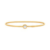 Michael Kors Premium Armreif Gold Vergoldet mit Zirkonia – MKJ8656710