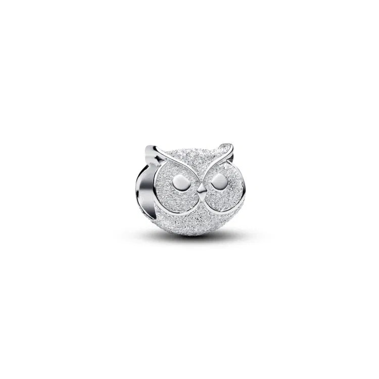 Pandora Strukturierte Eule Mini Charm - 794525C00