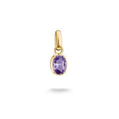 THOMAS SABO Charm-Anhänger Herz Geburtsstein Goldfarben – CC1329-M01-9