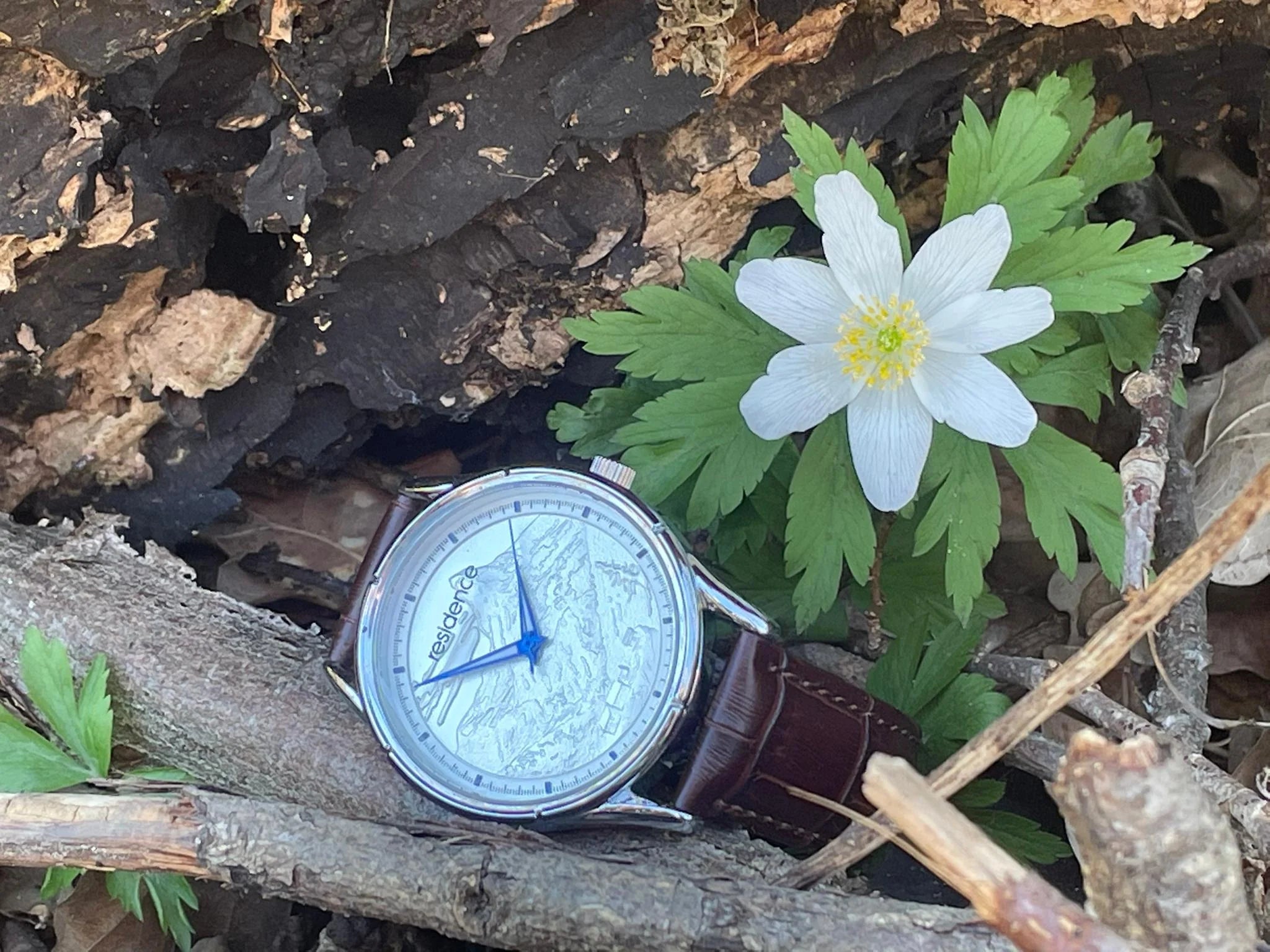 Residence Matterhorn Herrenuhr Quarzwerk in Silber