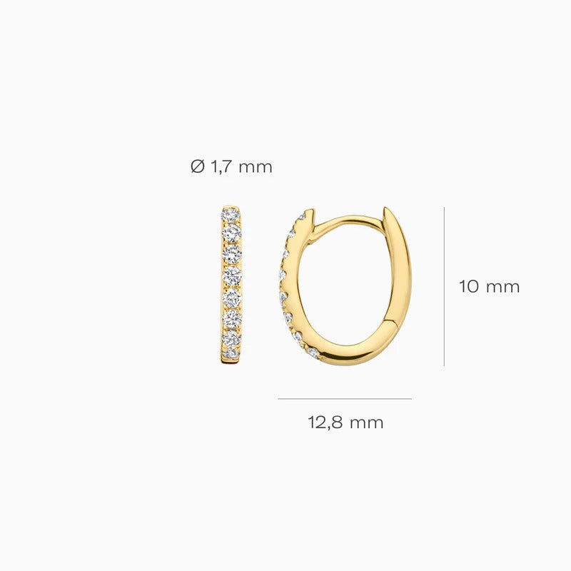 Blush Creolen aus 14 Karat Gold mit Labordiamanten 0.24 ct - LG7006Y