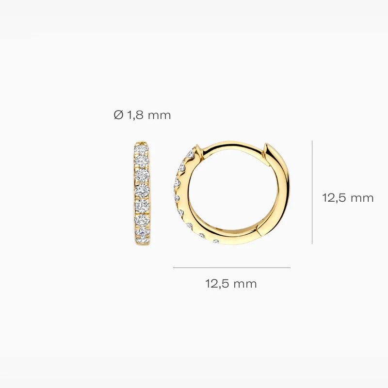 Blush Creolen aus 14 Karat Gold mit Labordiamanten 0.24 ct - LG7029Y