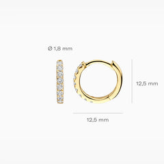 Blush Creolen aus 14 Karat Gold mit Labordiamanten 0.24 ct - LG7029Y