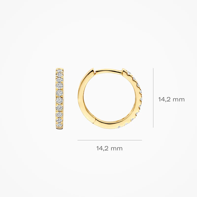 Blush Creolen aus 14 Karat Gold mit Labordiamanten 0.33 ct - LG7012Y