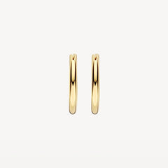 Blush Creolen aus 585er Gelbgold Ø 16,5 mm - 7406YGO