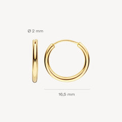 Blush Creolen aus 585er Gelbgold Ø 16,5 mm - 7406YGO
