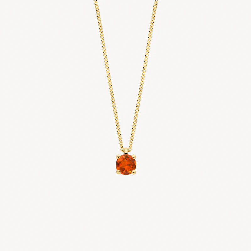 Blush Halskette aus 14 Karat Gold mit Madera Citrin - 3200YCI