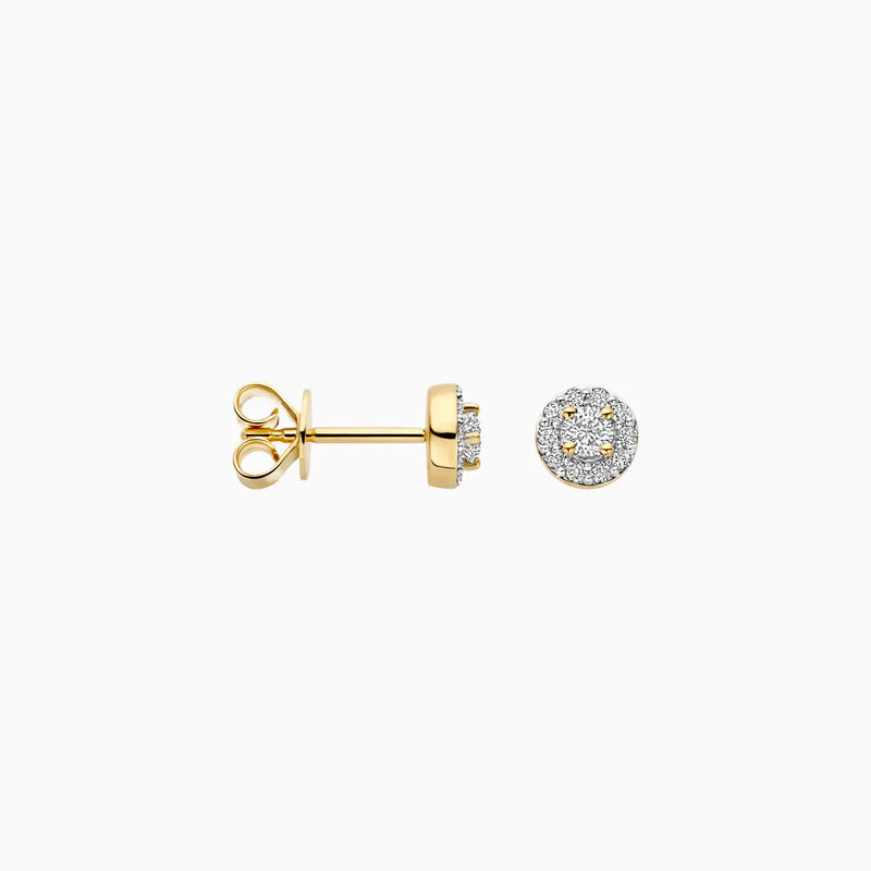 Blush Ohrstecker aus 14 Karat Gold mit Labordiamanten 0.29 ct - LG7011Y