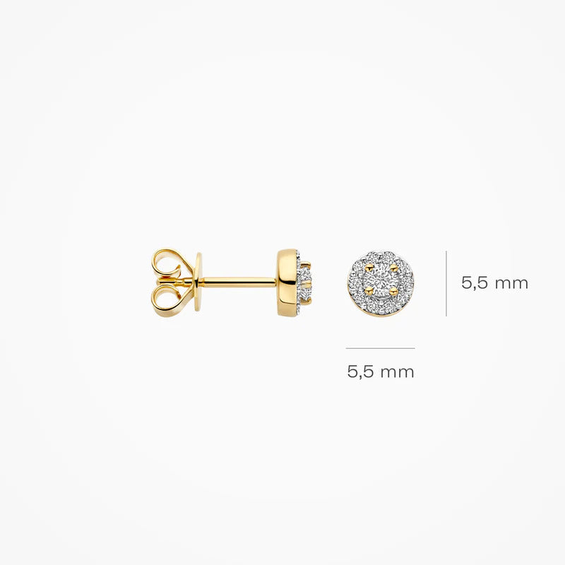 Blush Ohrstecker aus 14 Karat Gold mit Labordiamanten 0.29 ct - LG7011Y
