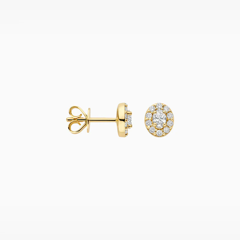 Blush Ohrstecker aus 14 Karat Gold mit Labordiamanten 0.36 ct - LG7033Y