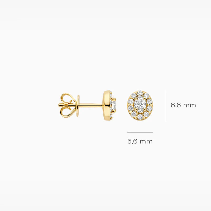 Blush Ohrstecker aus 14 Karat Gold mit Labordiamanten 0.36 ct - LG7033Y