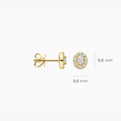 Blush Ohrstecker aus 14 Karat Gold mit Labordiamanten 0.36 ct - LG7033Y