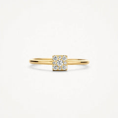 Blush Ring aus 14 Karat Gold mit Pavé-Zirkonia Grösse 54 - 1277YZI/54
