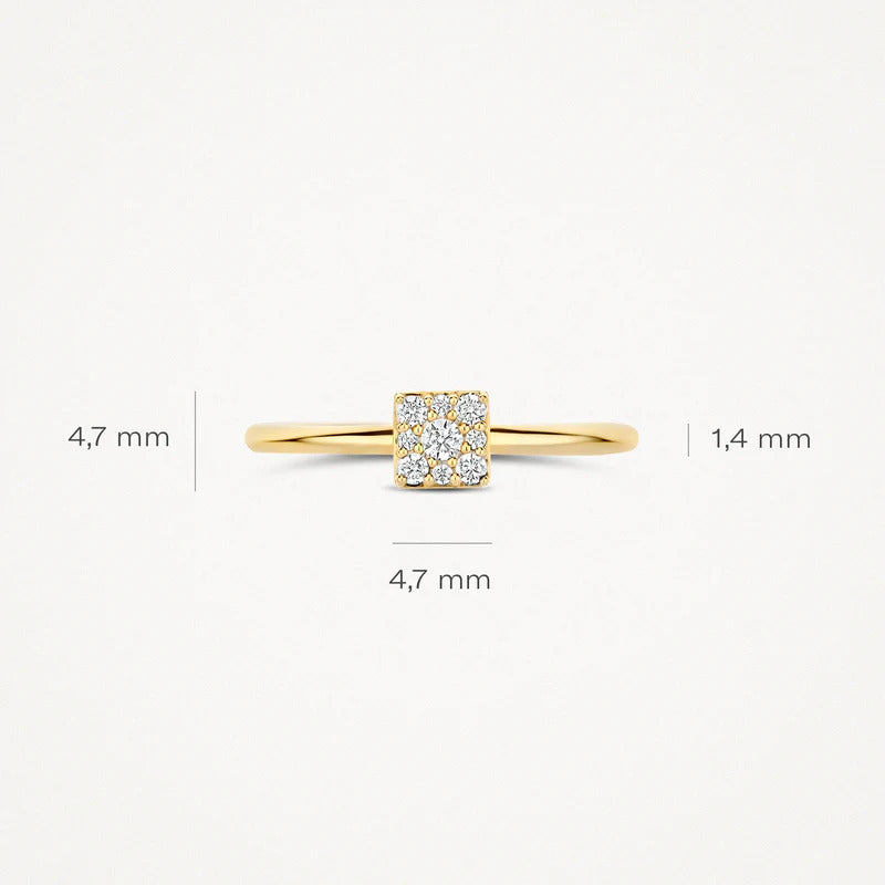 Blush Ring aus 14 Karat Gold mit Pavé-Zirkonia Grösse 54 - 1277YZI/54