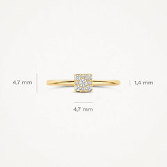 Blush Ring aus 14 Karat Gold mit Pavé-Zirkonia Grösse 54 - 1277YZI/54