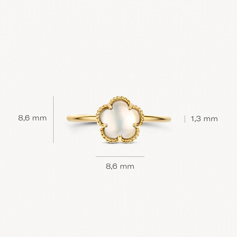 Blush Ring aus 14 Karat Gold mit Perlmutt Grösse 54 - 1280YMQ/54