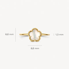 Blush Ring aus 14 Karat Gold mit Perlmutt Grösse 54 - 1280YMQ/54