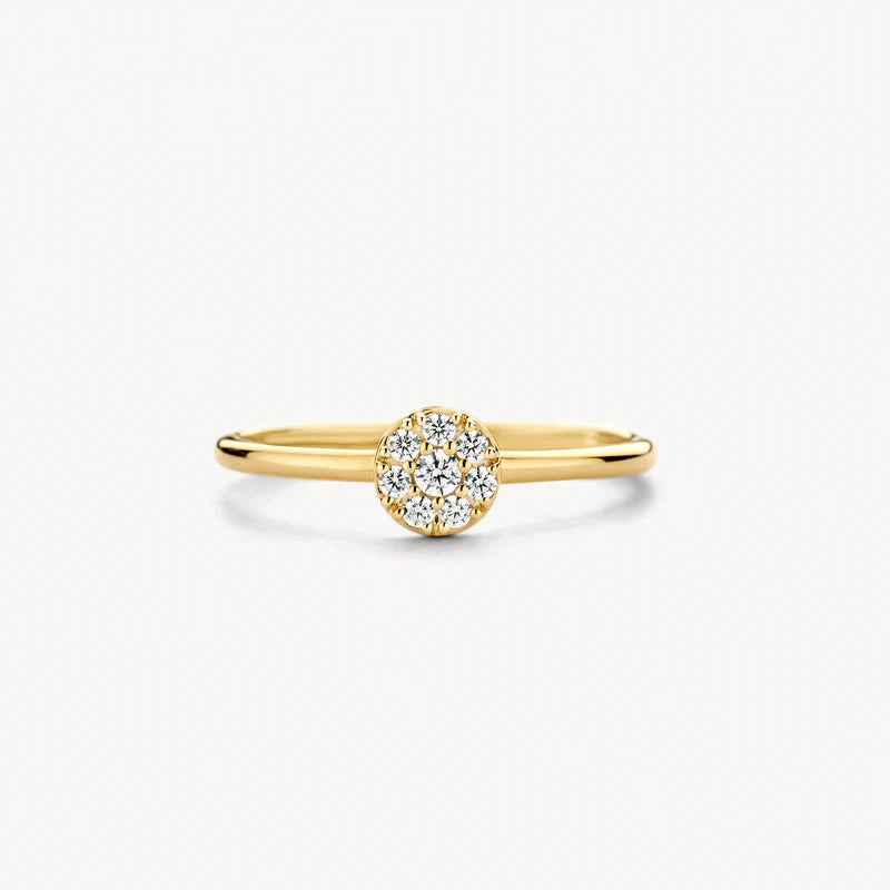 Blush Ring aus 14 Karat Gold mit rundem Pavé-Zirkonia Grösse 54 - 1277YZI/54