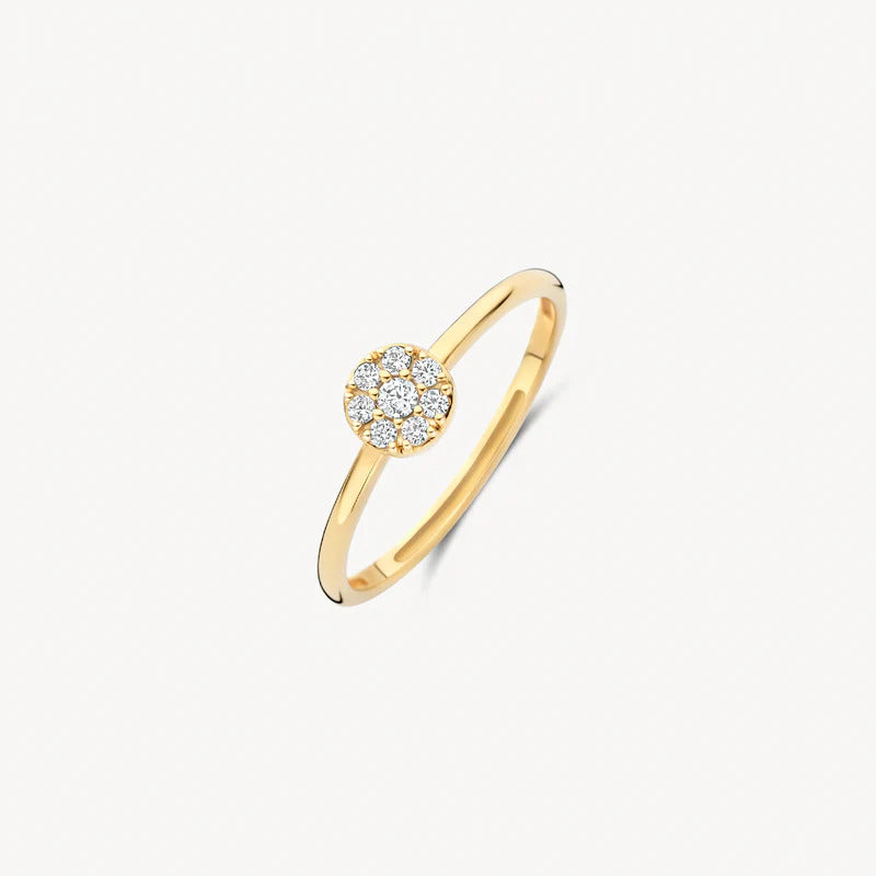 Blush Ring aus 14 Karat Gold mit rundem Pavé-Zirkonia Grösse 54 - 1277YZI/54