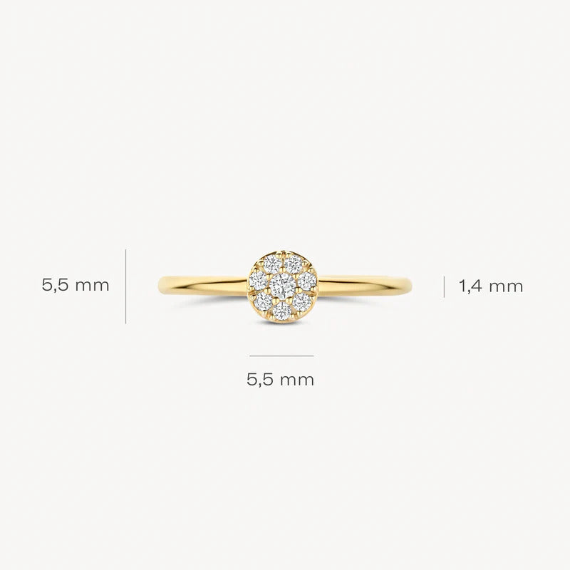 Blush Ring aus 14 Karat Gold mit rundem Pavé-Zirkonia Grösse 54 - 1277YZI/54