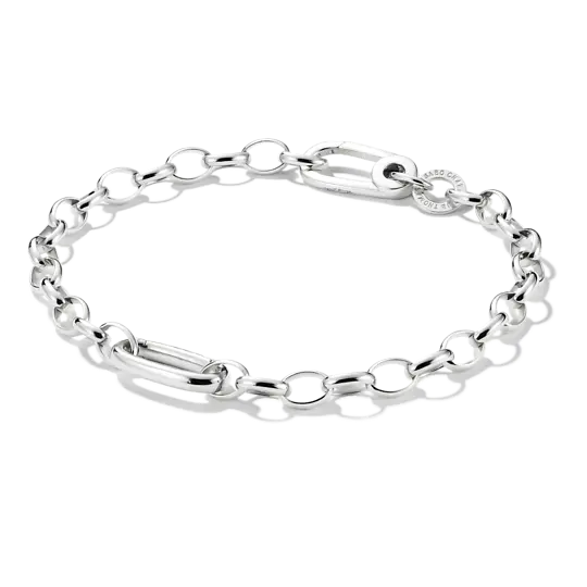charm-armband-mit-einem-connect-link-silber-c1202-001-21-l19