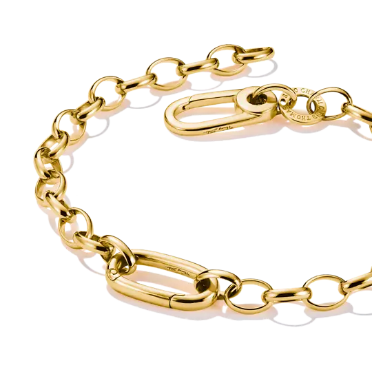 charm-armband-mit-einem-connect-link-vergoldet-c1202-413-39-l19