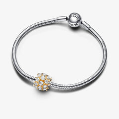 Funkelndes Rundes Charm - 763234C01
