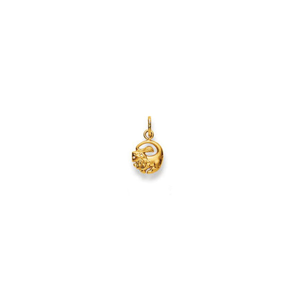 Gold-Anhänger Sternzeichen Löwe – 1154.06035/0800