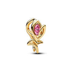 Pandora Charm Moments - 764555C01