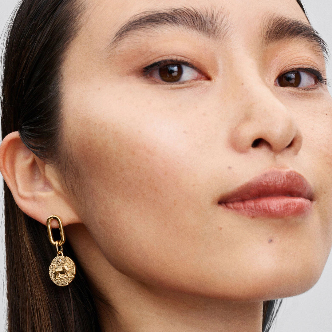 Pandora Talisman Löwe Charm - 763974C01