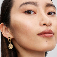 Pandora Talisman Löwe Charm - 763974C01