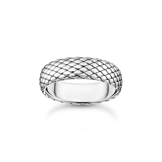 ring-snake-silber-tr2489-637-21