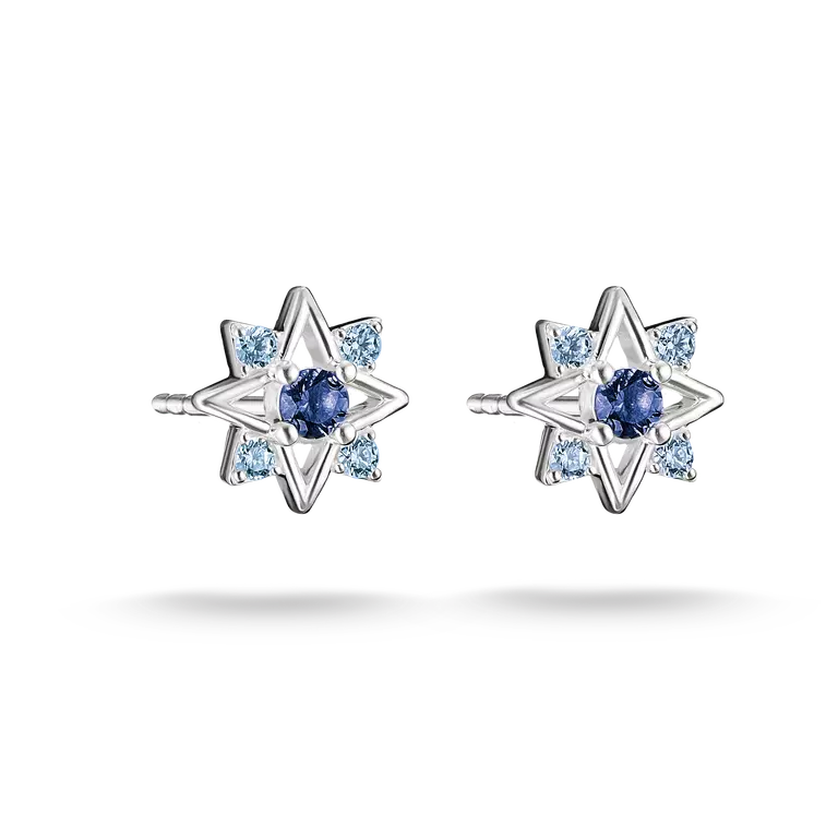 THOMAS SABO Ohrstecker Stern mit blauen Steinen Silber oder Goldfarben