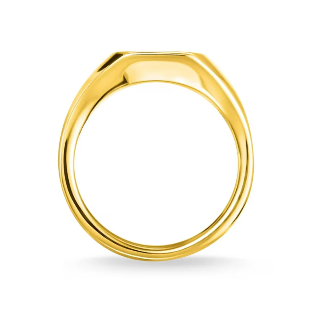 Thomas Sabo Sterling Silver Glam &amp; Soul Damen Siegelring Vintage Stern Gold - D_TR0038-924-14